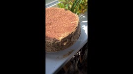 Birthday cake ambush: raccoon Patrick's sweet greed unleashed!