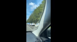 Missing nursing student Carlee Russell found safe after mysterious disappearance near Alabama highway