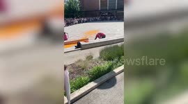 The shocking moment a Just Stop Oil activist is dragged by University of Exeter security