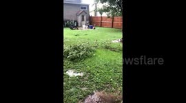 Newsflare Edit - US: Severe Thunderstorm Watch Issued For Southern Illinois 2