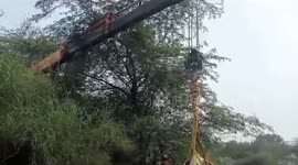 Firefighters use crane to rescue cow from ditch in northern India