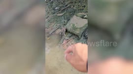 Exhausted egret bird stuck in net trash by the river rescued