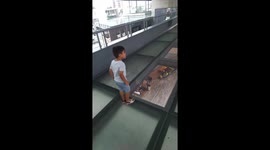 Fear of the unknown: a son's dance with a glass floor in San Pedro Nuevo Leon