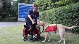 Nurse becomes first in the UK to use assistance dog at work