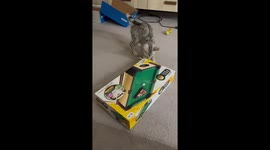 Poppy and Pickles Play Mini Pool