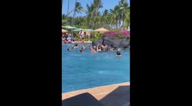 NBA legend Shaquille O'Neal high-fives kids in wholesome scene at Hawaii hotel