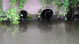 Tesco customers disgusted by 'gross' poo smell which has plagued store for SIX YEARS