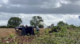 When your gazebo turns into a kite. This is the moments after a gazebo took off in the wind.