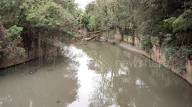 Condition of Pirajucara Stream in Sao Paulo, Brazil