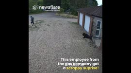 Man get Chased by Dogs