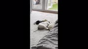 temp