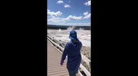Bears Run Across Yellowstone Landscape