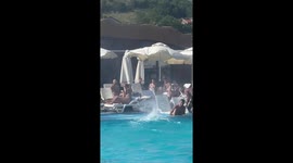 Wild Winds at the Waterpark