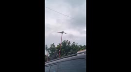 Whimsical toy vendor takes flight: a hilarious surprise in Santa Rosa, Laguna!