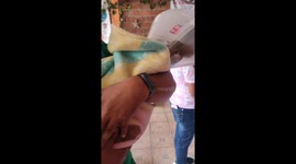 Comically Sedated Dachshund