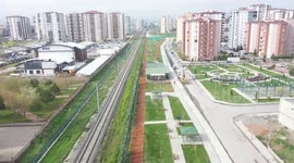 Cat town built for stray cats in central Türkiye