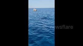 Dolphin house boat trip in Hurgada Egypt