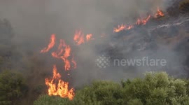 Death toll from Algeria's wildfires rises to 34