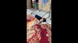 When Your Son and Your Cat Love the Same Pillow