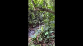 Dog's Jump Gives Owner a Mini Heart Attack