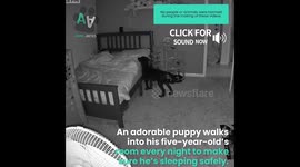 Puppy Checks On Sleeping 5-Year-Old!
