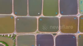 Colorful Fish Ponds at Xiangshan Bay in Ningbo, China