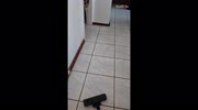 temp