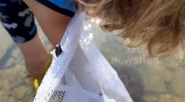 Kid hilariously learns nothing from being pinched by crayfish