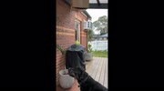 temp