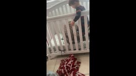 Toddler saves blankets from his dog trying to steal them
