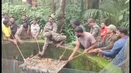 Leopard rescued after it fell into well in western India