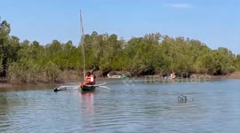 Mangrove conservation takes root in Madagascar