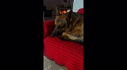 temp
