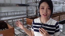 Exploring Chinese alligator nature reserve in Anhui Province