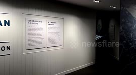 Collection of rare insects displayed at Australia's Queensland Museum