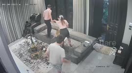 Frantic family chases wild snake out of living room