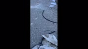 temp