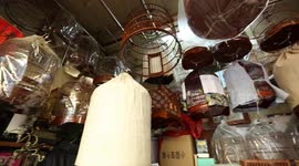 Guardian of bird cage making skills in Hong Kong