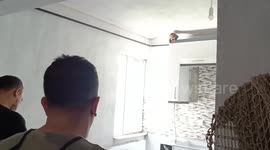 Fruit-Stealing Monkey Caged After Raids On Homes In Bursa, Turkey