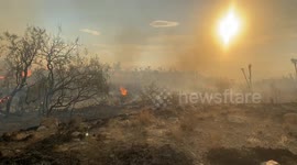 York Fire Mojave National Preserve