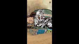 York Fire Mojave National Preserve