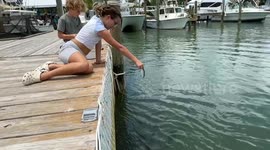Little girl's arm nearly taken off by giant tarpon while feeding it a minnow