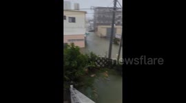 Japan: Typhoon Khanun Pounds Okinawa Causing Damage 6