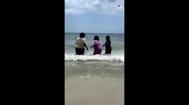 Cocky family's SPLASH-tastic encounter with beach waves will leave you in stitches