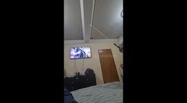 Pet Monkey Swings Around Room