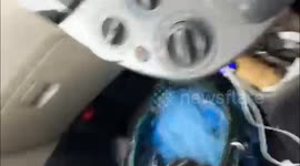 Japan: Typhoon Khanun Pounds Okinawa Causing Damage 8