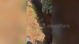 Neighbours winch stranded cow to safety from narrow ditch in Indonesia