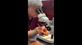 Chinese man creates miniature sculpture of ancient hand-scroll painting on jade