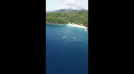 Photographer snaps incredible FEATHER starfish fluttering through water Part 1/2
