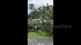 Japan: Typhoon Khanun Pounds Okinawa Causing Damage 11